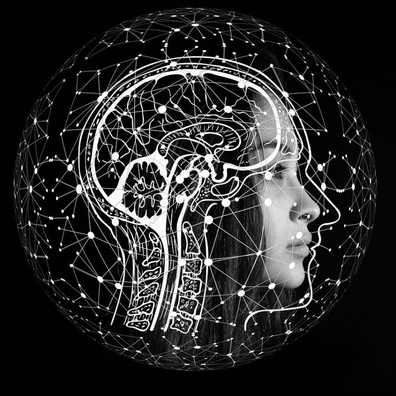 img-artificial-intelligence-4389372_1280