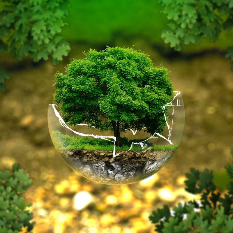 img-environmental-protection-326923_1280