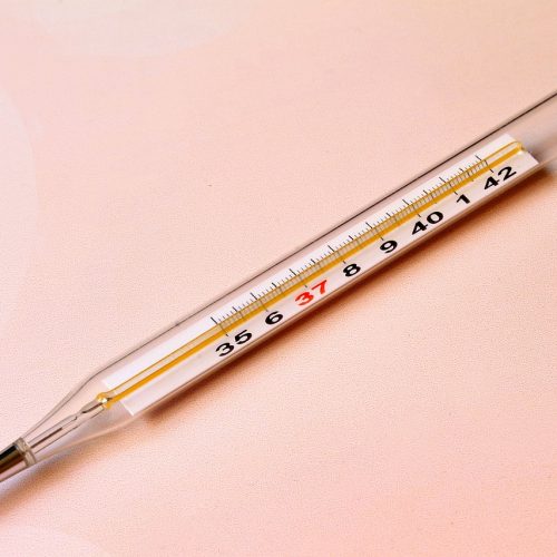 img-thermometer-869392_12801