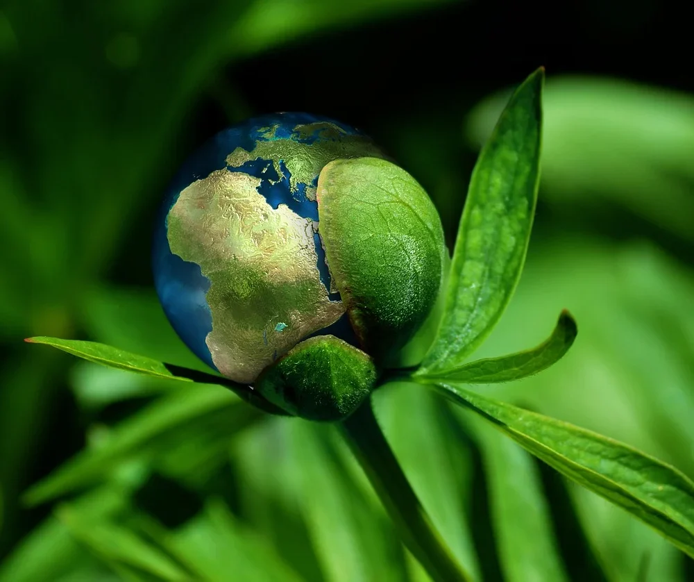 ecology-6513805_1280