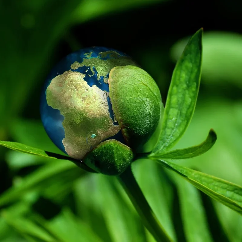 ecology-6513805_1280