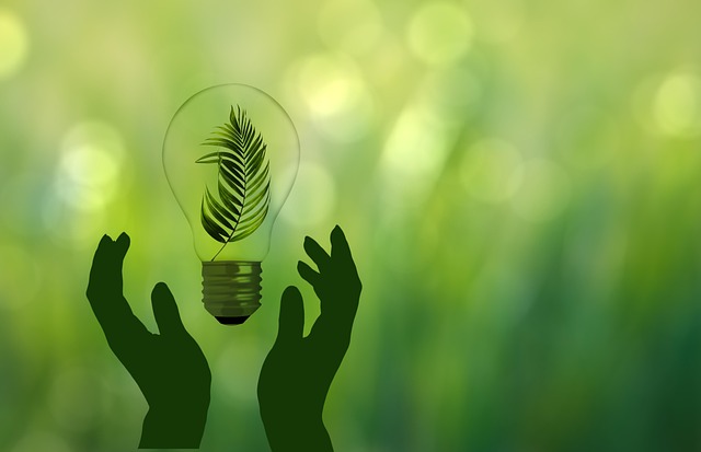 energy-saving-7462464_640