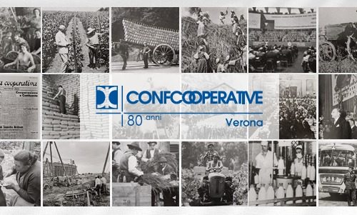 WhatsApp Image 2025-11-12 at 15.09.37