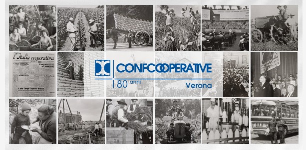 WhatsApp Image 2025-11-12 at 15.09.37