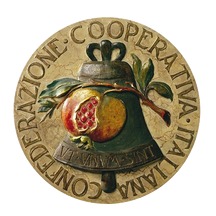 WhatsApp Image 2025-11-25 at 15.12.47