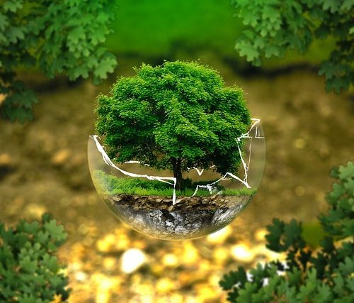 environmental-protection-326923_640