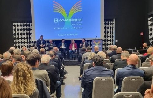 WhatsApp Image 2025-12-02 at 12.26.56