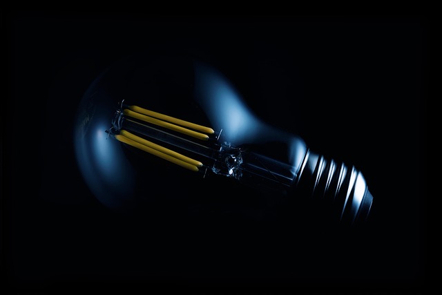 light-bulb-7688818_640