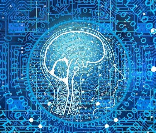 WhatsApp Image 2026-01-14 at 17.28.36