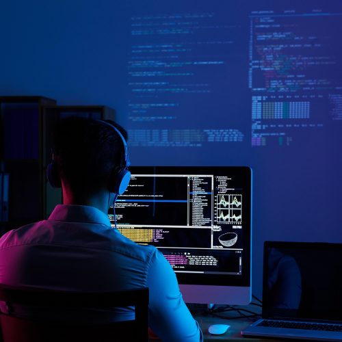 innovalabs-software-developer-6521720_1920